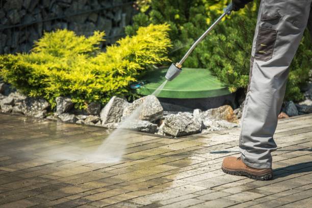 Best Driveway Pressure Washing  in Mount Vernon, KY